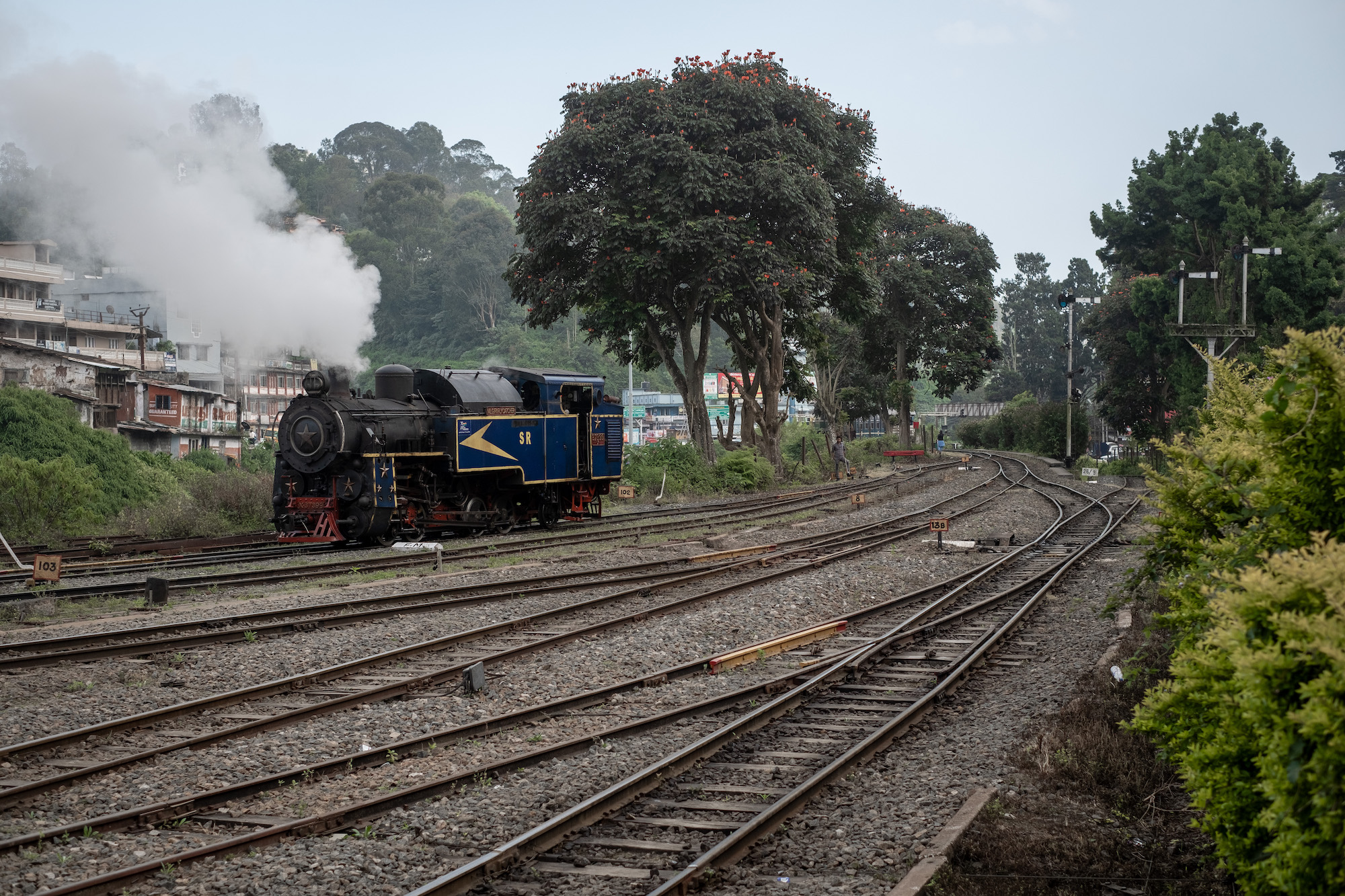 インド、ニルギリ山岳鉄道の蒸気機関車を撮り鉄