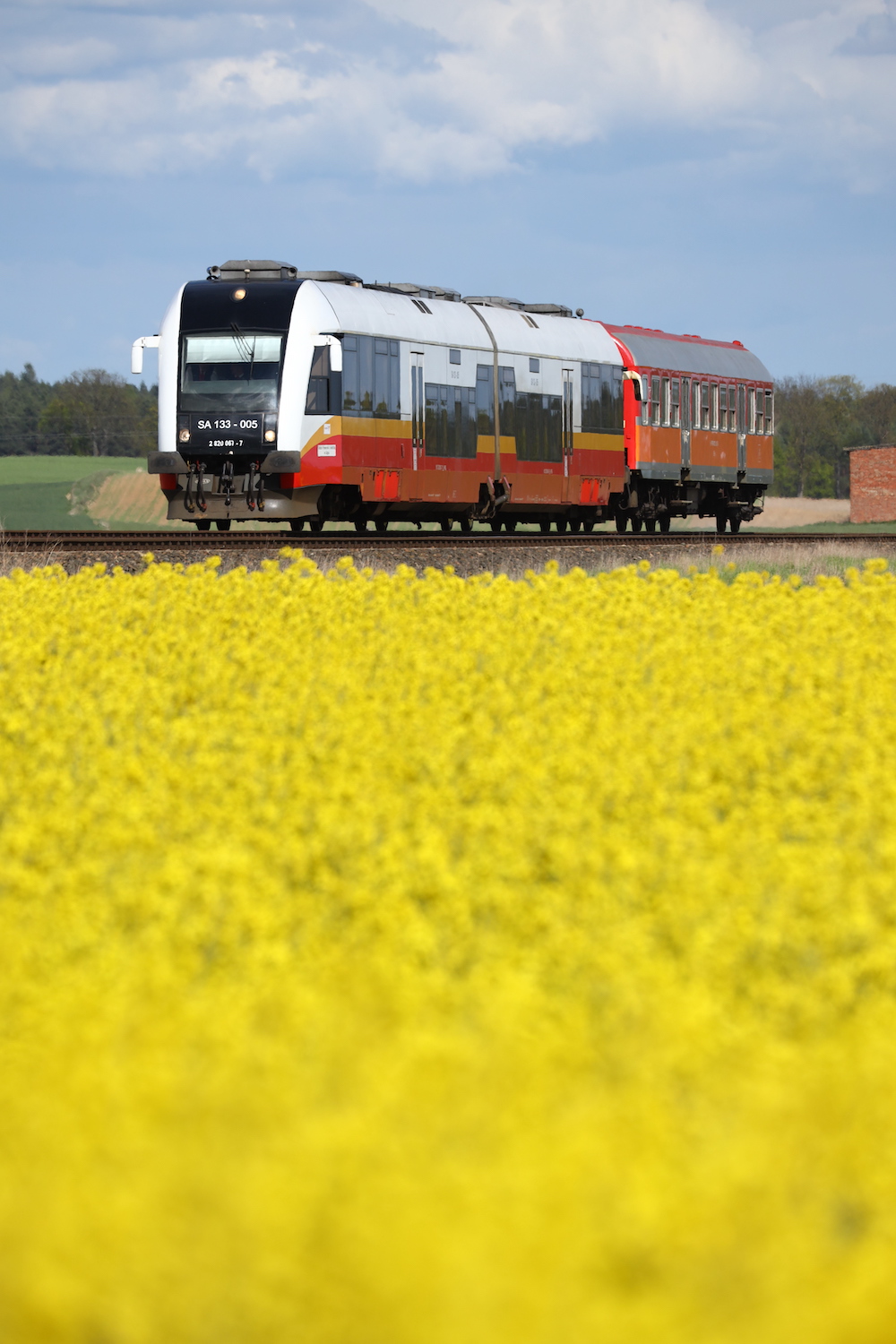 ポーランド鉄道(PKP)を撮り鉄