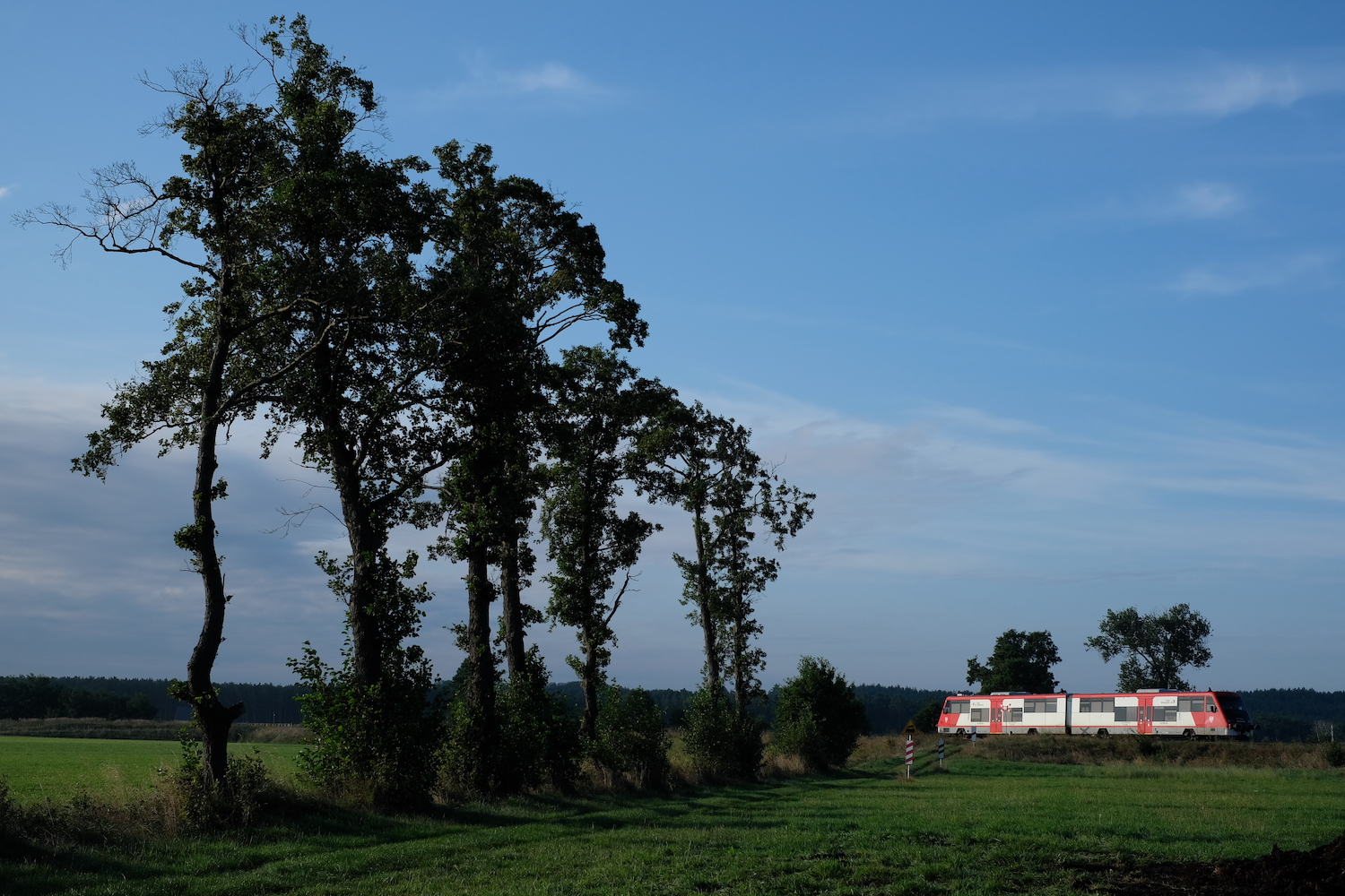ポーランド鉄道(PKP)を撮り鉄